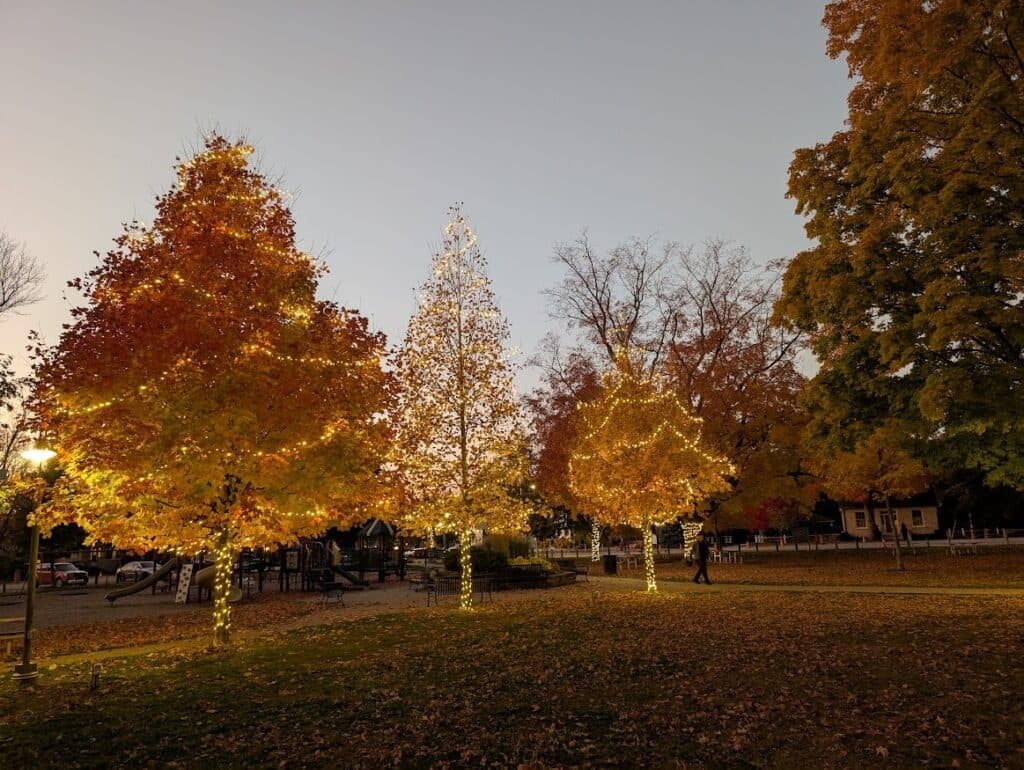 How to Use Your Permanent Lighting System Year-Round in Ontario — Celebrate Lighting blog