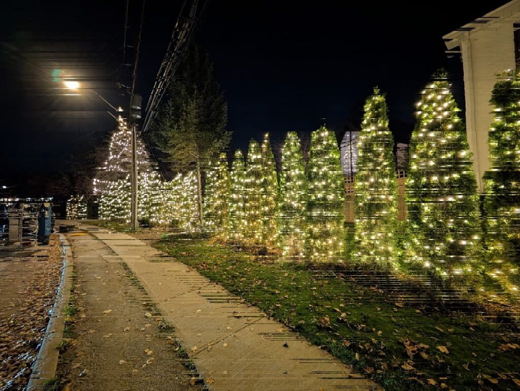 Entrance Approach — Commercial Property — permanent LED lighting by Celebrate Lighting in Woodstock, Ontario