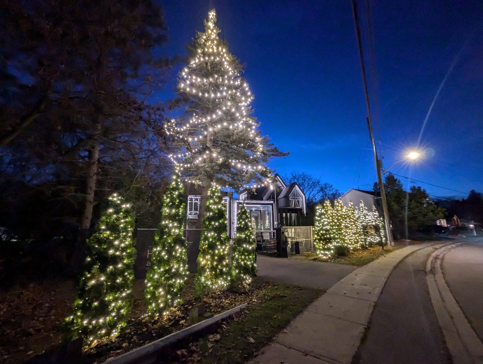 Commercial holiday display of a lit evergreen and warm-white cone trees along a tree-lined street