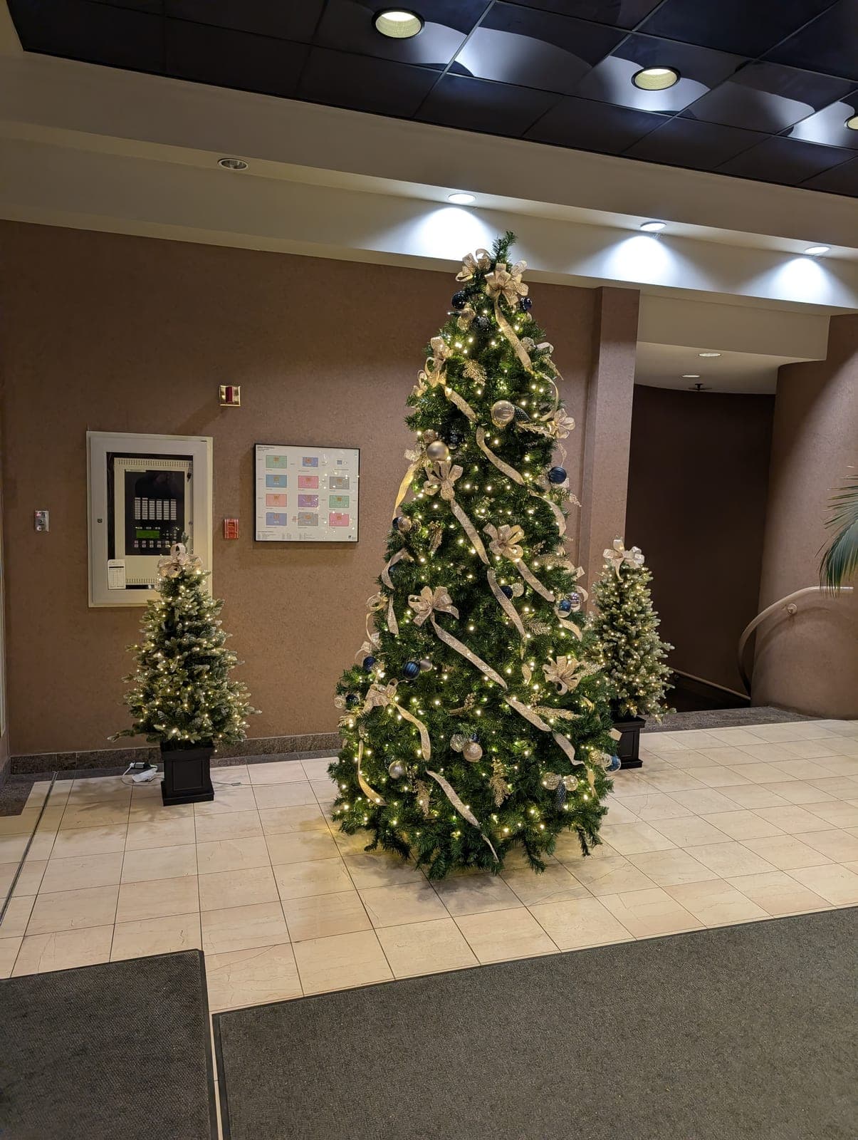 Large decorated Christmas tree with blue and silver ornaments and gold ribbon in a commercial building lobby