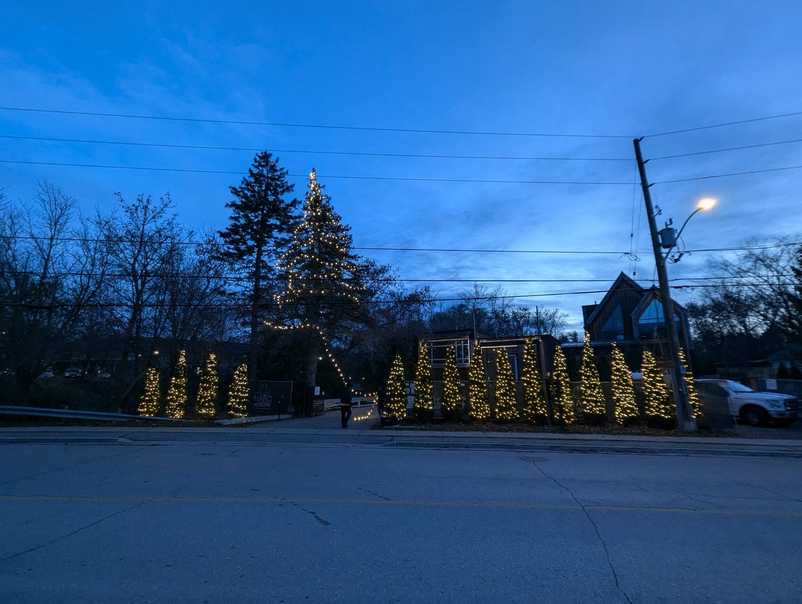 Commercial property at blue hour with lit cone trees and a large illuminated evergreen along the street