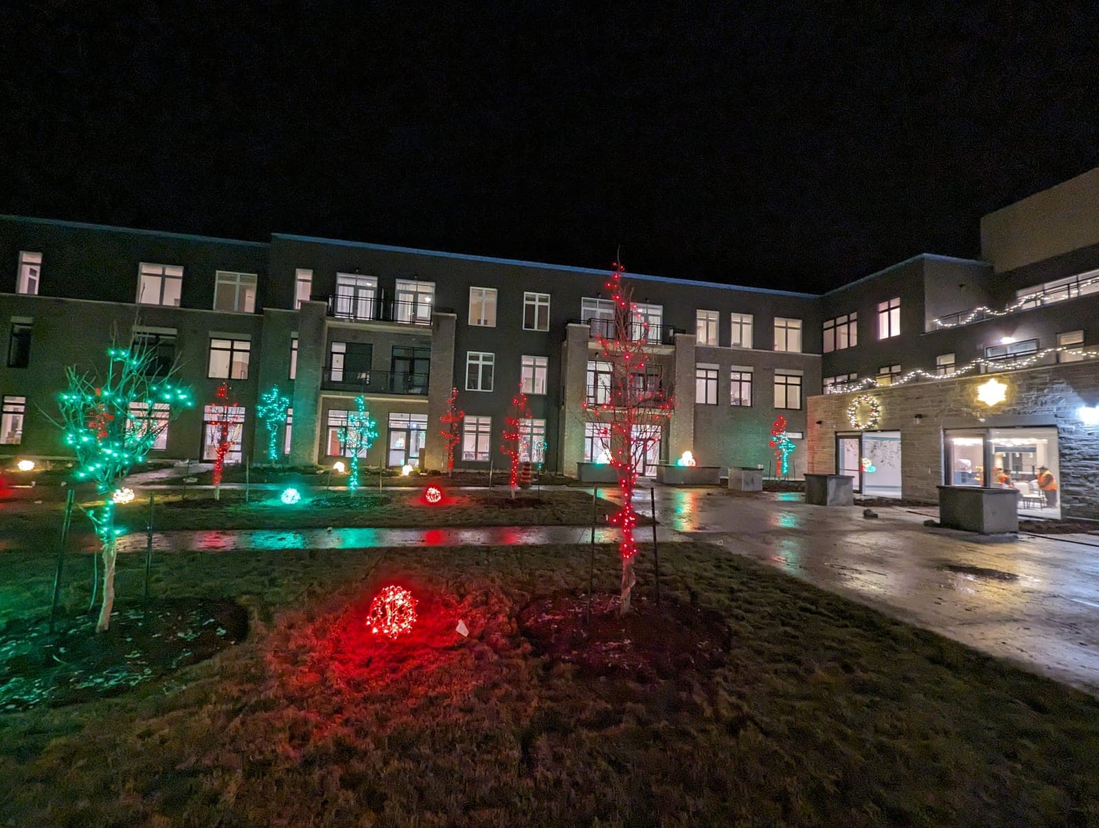 Illuminated commercial courtyard with red and green light-wrapped trees outside a modern building at night.