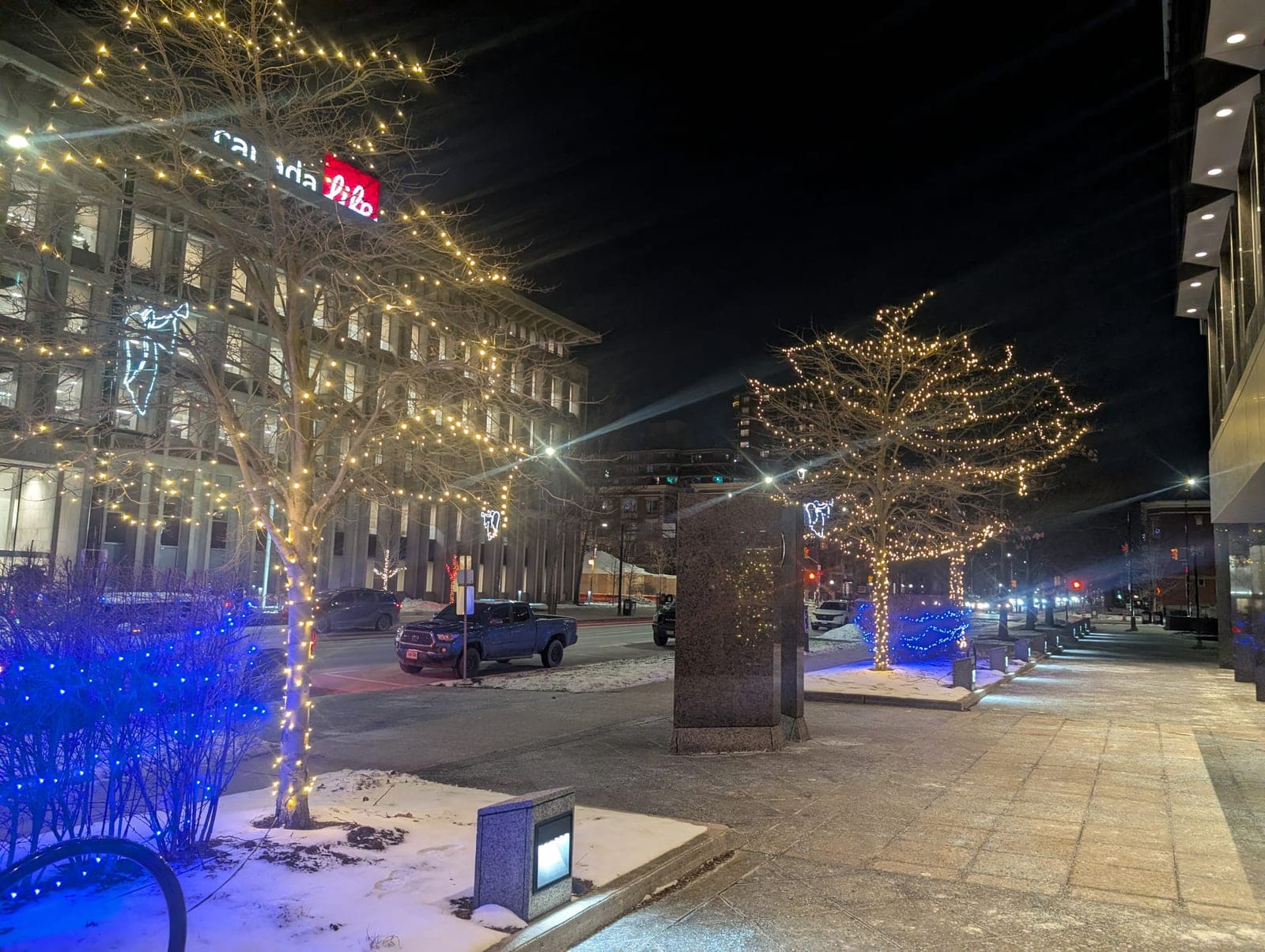 Downtown street trees wrapped in warm-white Christmas lights outside an office tower on a snowy night.