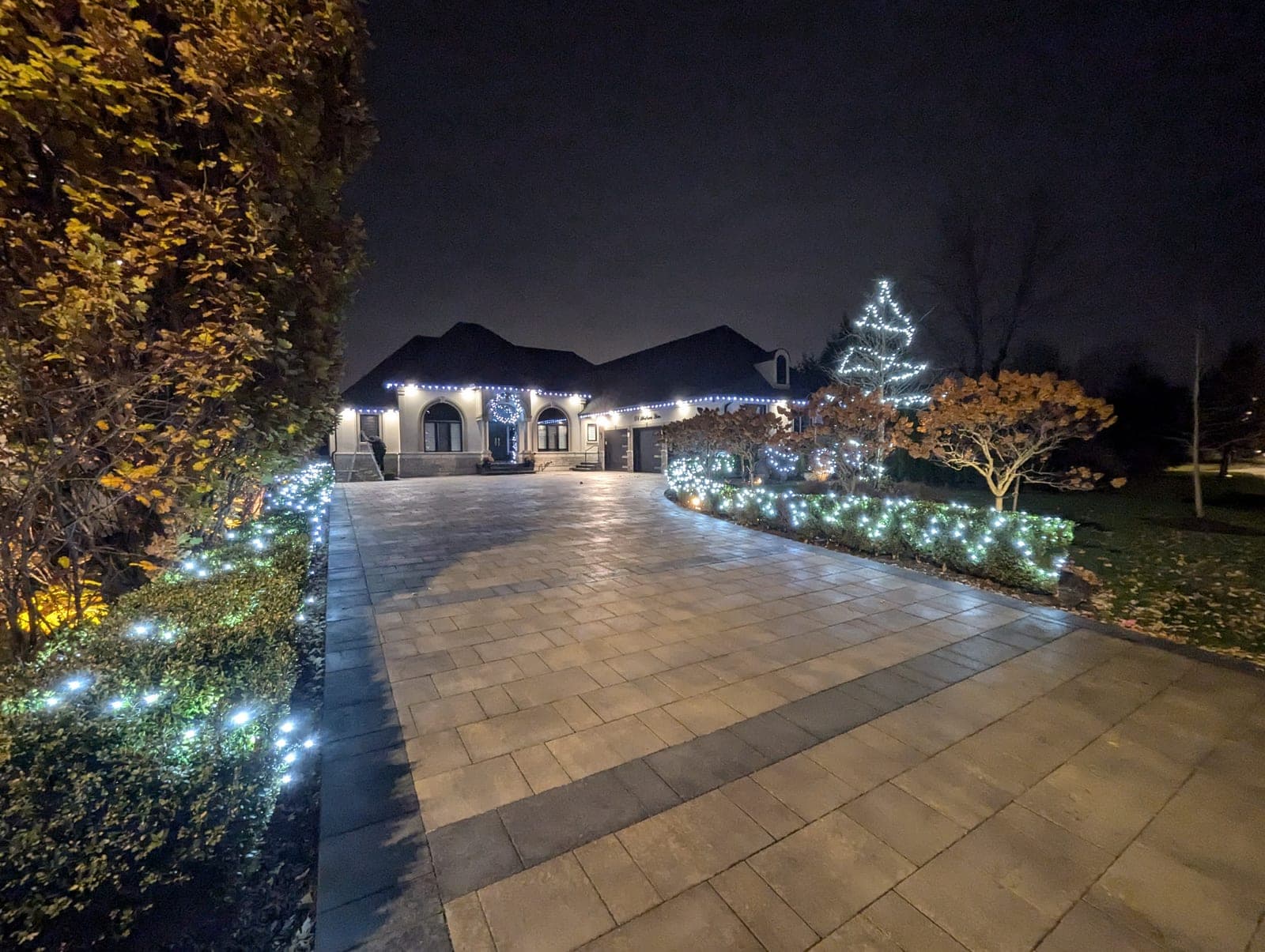 Long paver driveway edged with cool-white lit shrubs and a light-wrapped tree at a decorated estate