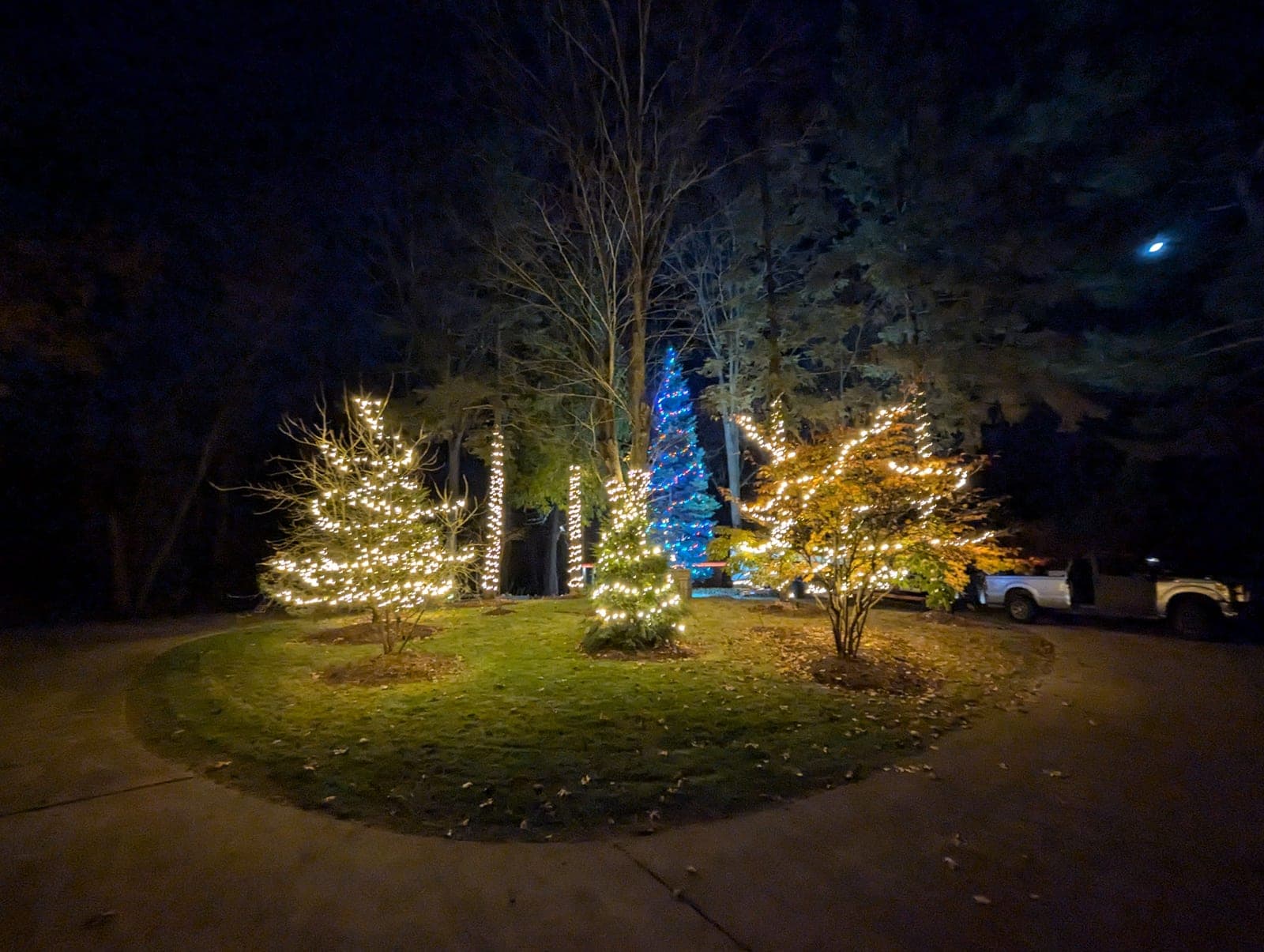 Front-yard tree-wrapping lights in warm white framing a blue-lit spruce on a moonlit night
