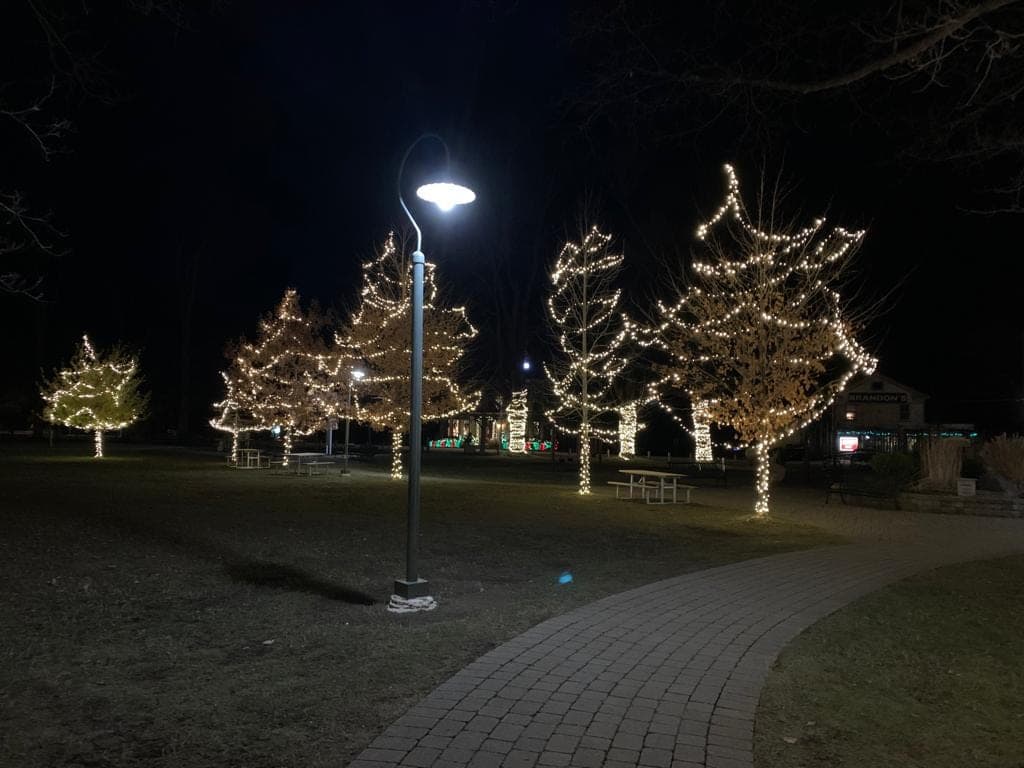 Park trees wrapped in warm-white Christmas lights around a lamppost and walking path at night
