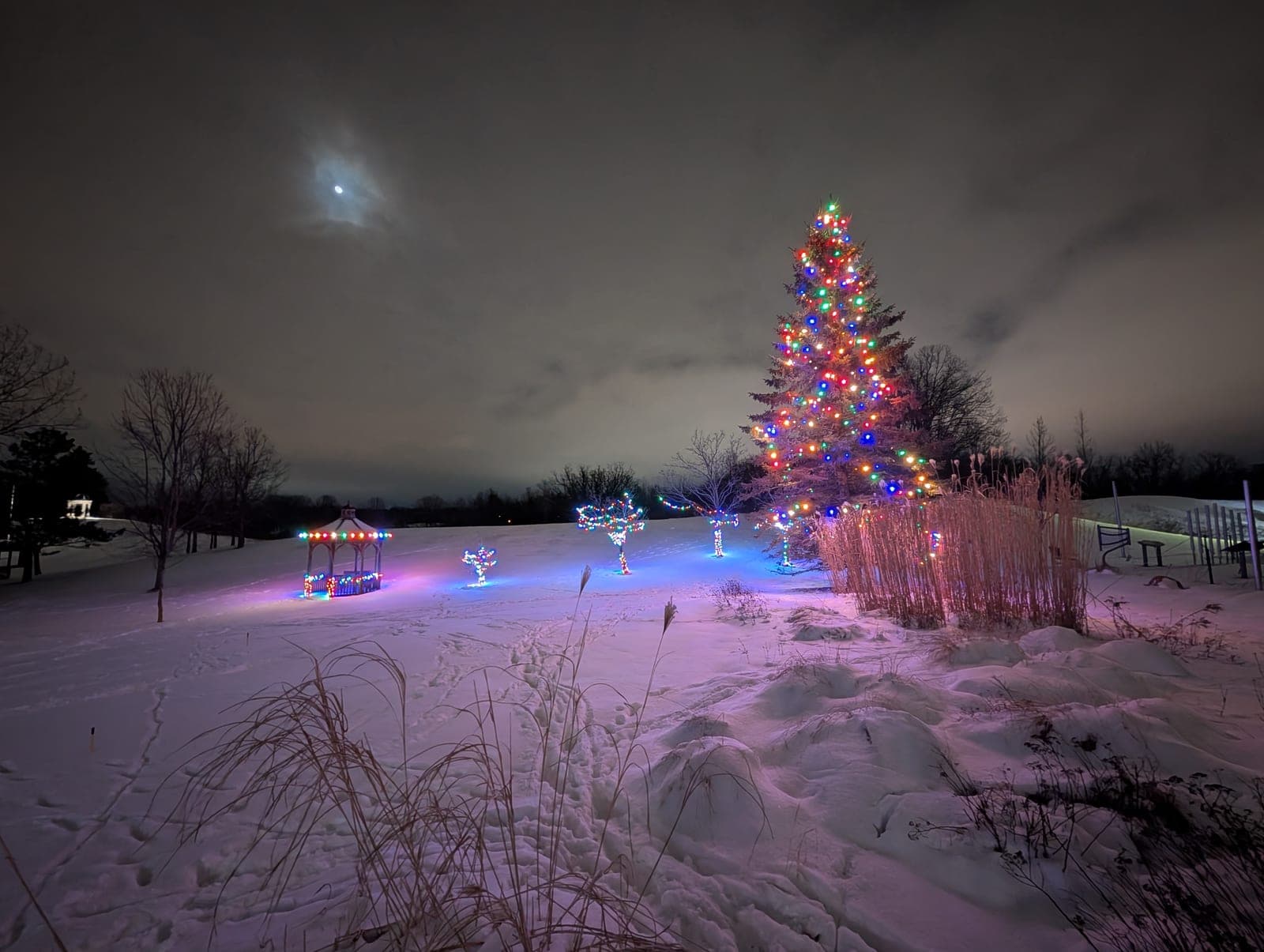 Lit evergreen Christmas tree, decorated gazebo and light figures across a moonlit snowy park