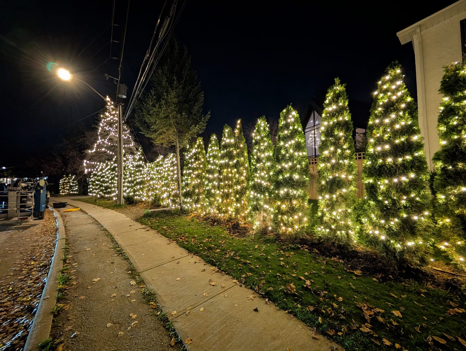 Row of evergreen shrubs wrapped in warm-white lights along a commercial walkway at night